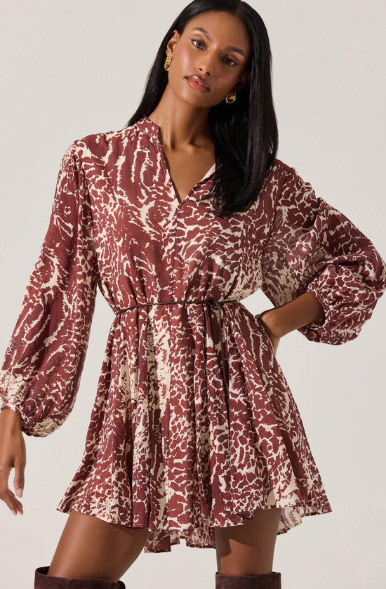 Brown Animal Print Long Sleeve Mini Dress