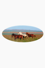 Horse Girl Oval Barrette