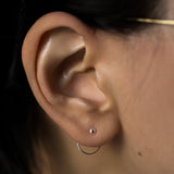 Circle Ear Nut Earring